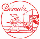 Primula